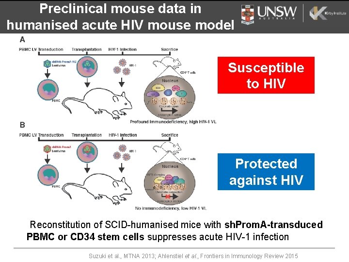 Preclinical mouse data in humanised acute HIV mouse model Susceptible to HIV Protected against