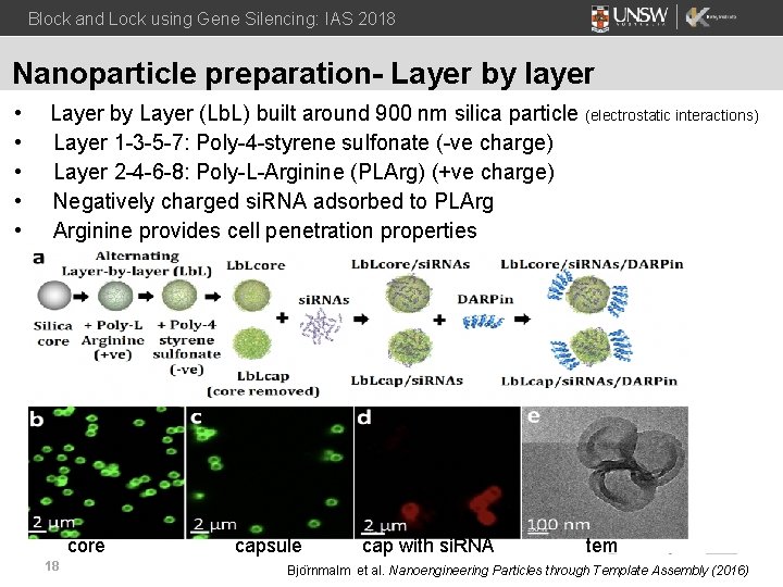 Block and Lock using Gene Silencing: IAS 2018 Nanoparticle preparation- Layer by layer •
