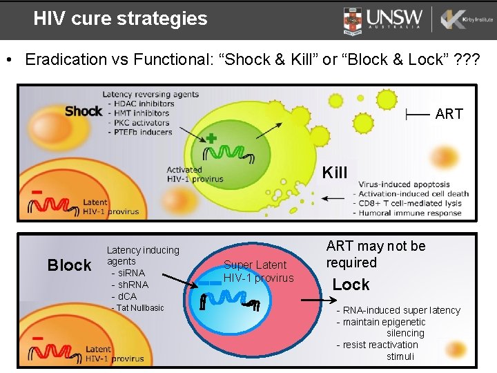 HIV cure strategies • Eradication vs Functional: “Shock & Kill” or “Block & Lock”