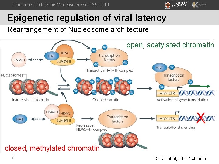 Block and Lock using Gene Silencing: IAS 2018 Epigenetic regulation of viral latency Rearrangement