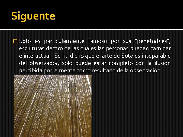 Siguente � Soto es particularmente famoso por sus "penetrables", esculturas dentro de las cuales