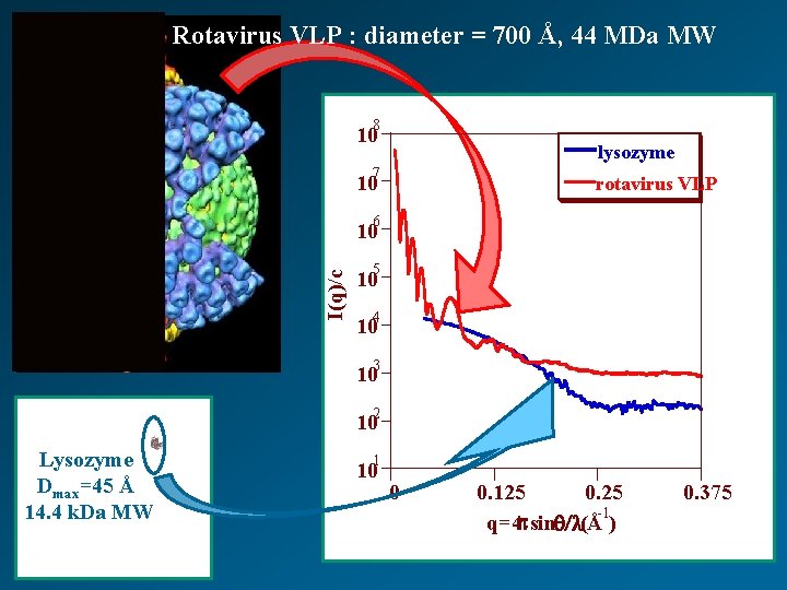 Rotavirus VLP : diameter = 700 Å, 44 MDa MW 8 10 lysozyme 7