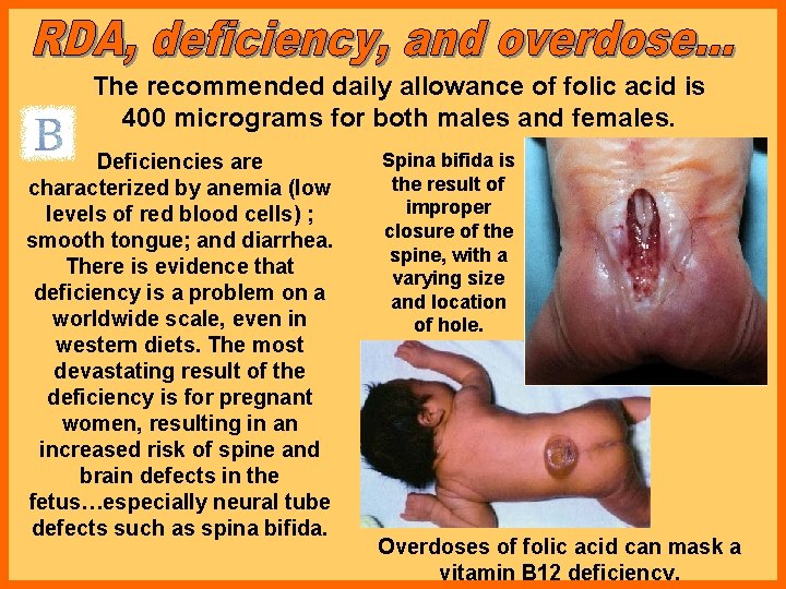 The recommended daily allowance of folic acid is 400 micrograms for both males and