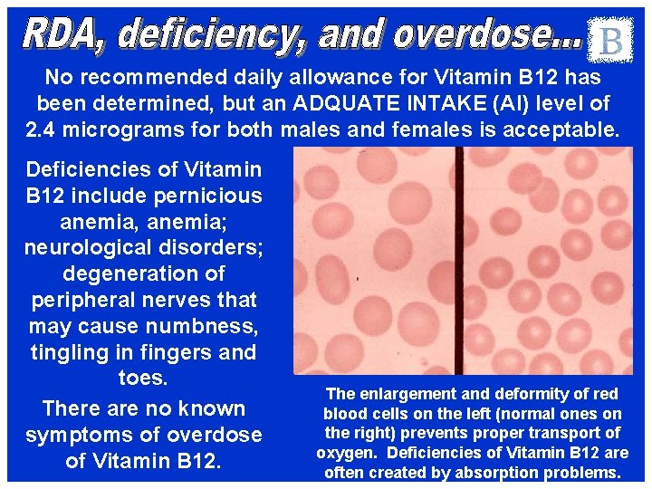 No recommended daily allowance for Vitamin B 12 has been determined, but an ADQUATE