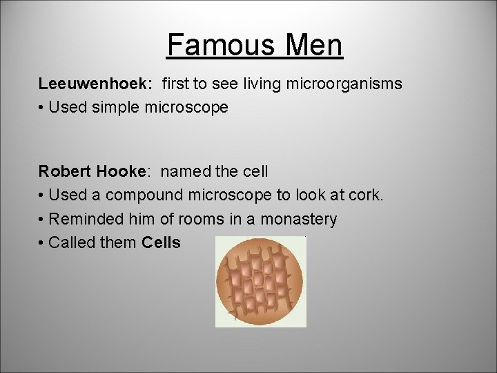 Famous Men Leeuwenhoek: first to see living microorganisms • Used simple microscope Robert Hooke: