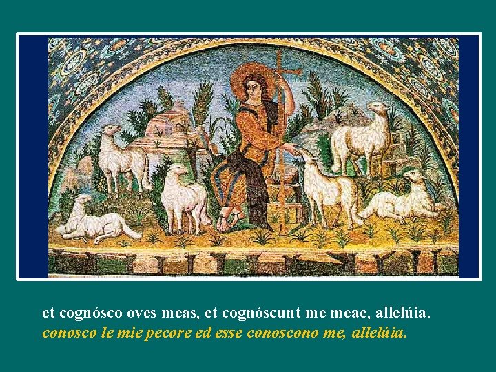 et cognósco oves meas, et cognóscunt me meae, allelúia. conosco le mie pecore ed