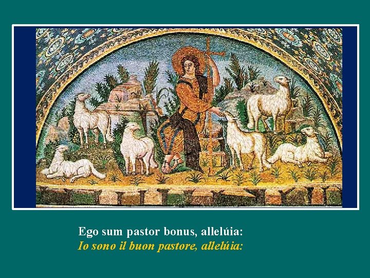 Ego sum pastor bonus, allelúia: Io sono il buon pastore, allelúia: 