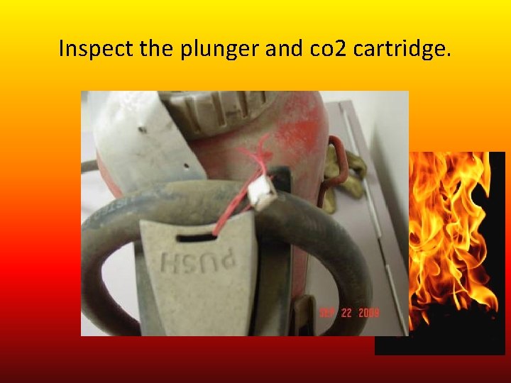 Inspect the plunger and co 2 cartridge. 