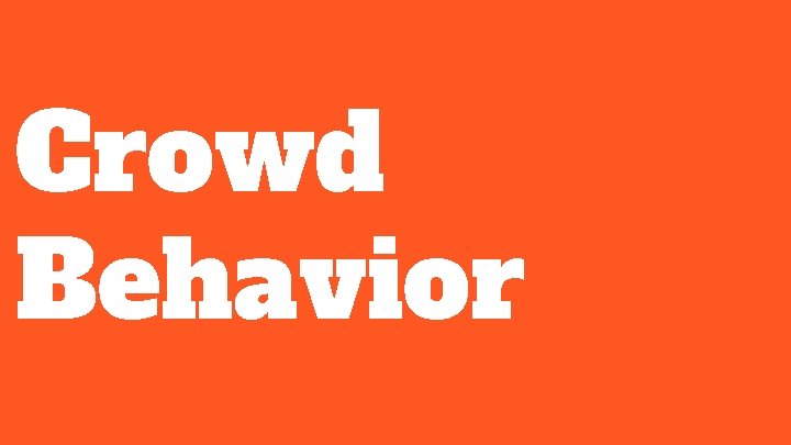 Crowd Behavior 