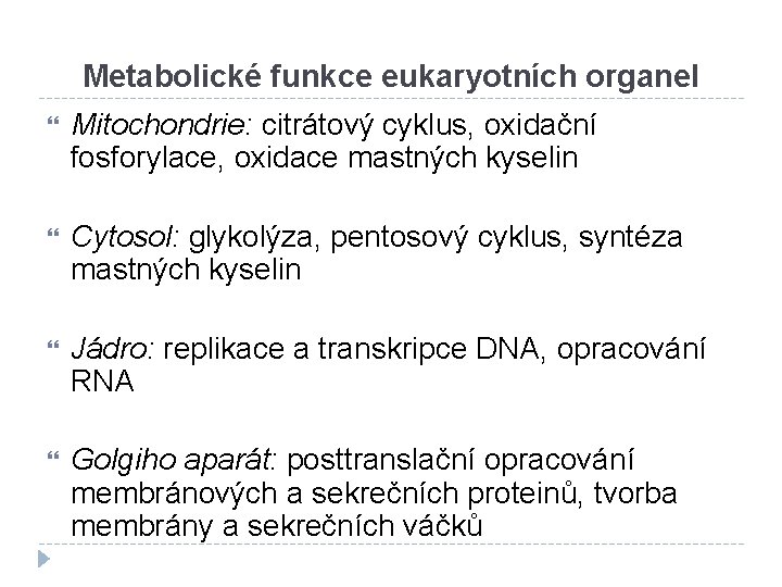 Metabolické funkce eukaryotních organel Mitochondrie: citrátový cyklus, oxidační fosforylace, oxidace mastných kyselin Cytosol: glykolýza,