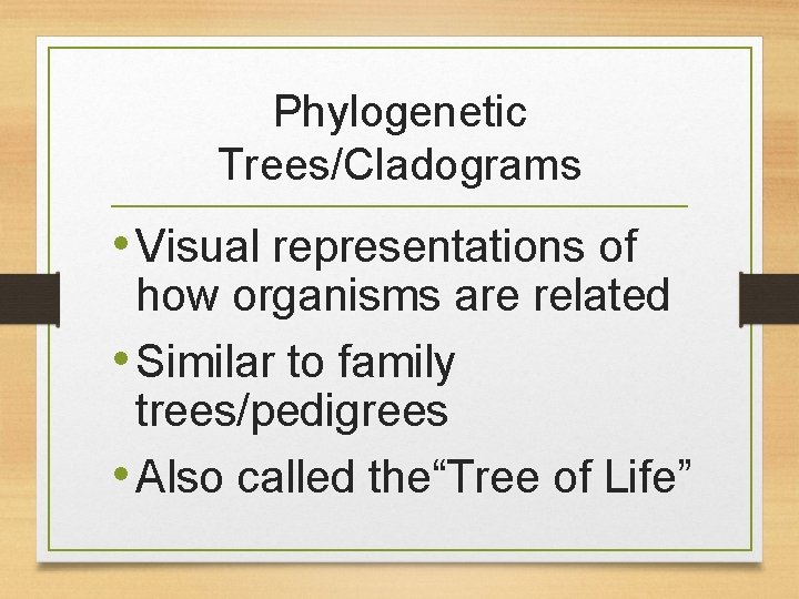 Phylogenetic Trees/Cladograms • Visual representations of how organisms are related • Similar to family