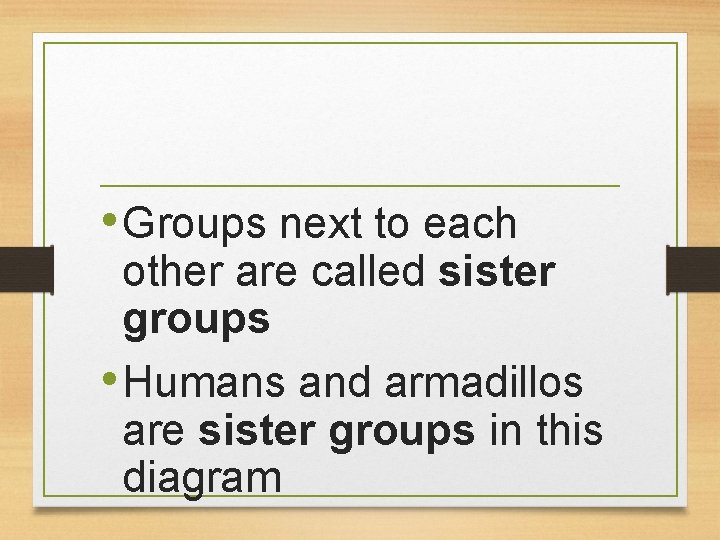  • Groups next to each other are called sister groups • Humans and
