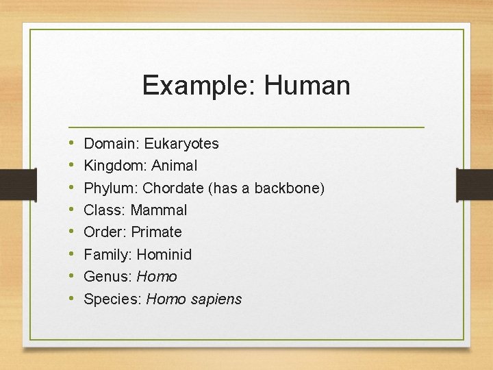 Example: Human • • Domain: Eukaryotes Kingdom: Animal Phylum: Chordate (has a backbone) Class: