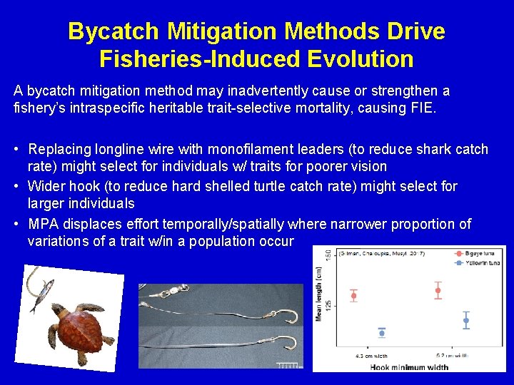 Bycatch Mitigation Methods Drive Fisheries-Induced Evolution A bycatch mitigation method may inadvertently cause or