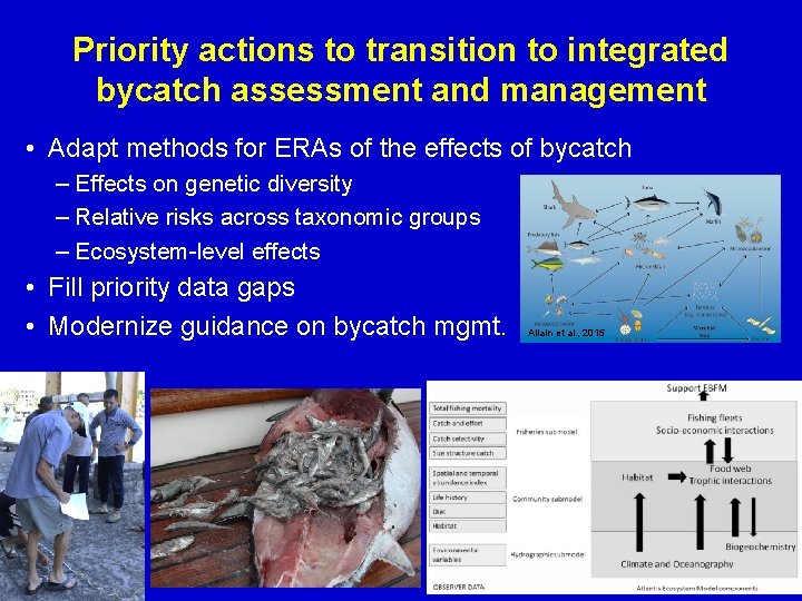 Priority actions to transition to integrated bycatch assessment and management • Adapt methods for