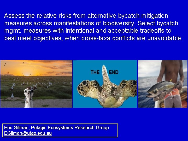Assess the relative risks from alternative bycatch mitigation measures across manifestations of biodiversity. Select
