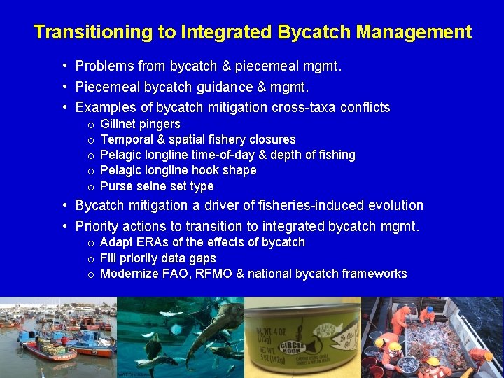 Transitioning to Integrated Bycatch Management • Problems from bycatch & piecemeal mgmt. • Piecemeal