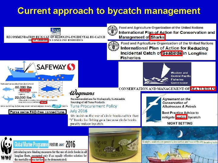 Current approach to bycatch management 