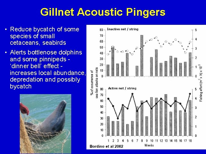 Gillnet Acoustic Pingers • Reduce bycatch of some species of small cetaceans, seabirds •