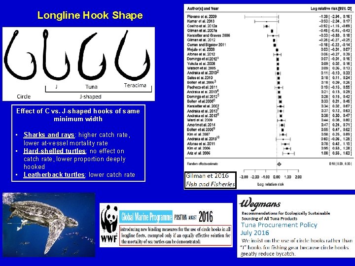 Longline Hook Shape Effect of C vs. J-shaped hooks of same minimum width •
