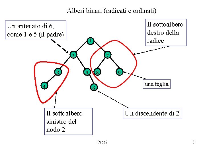 Alberi binari (radicati e ordinati) Un antenato di 6, come 1 e 5 (il