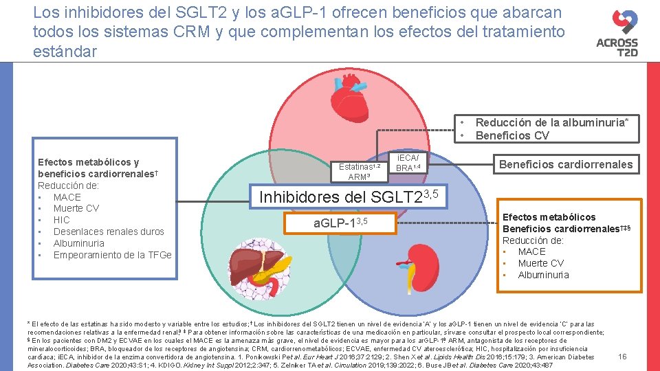 Los inhibidores del SGLT 2 y los a. GLP-1 ofrecen beneficios que abarcan todos