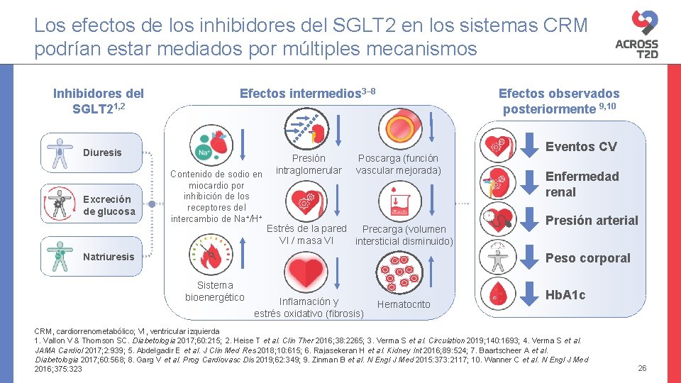 Los efectos de los inhibidores del SGLT 2 en los sistemas CRM podrían estar