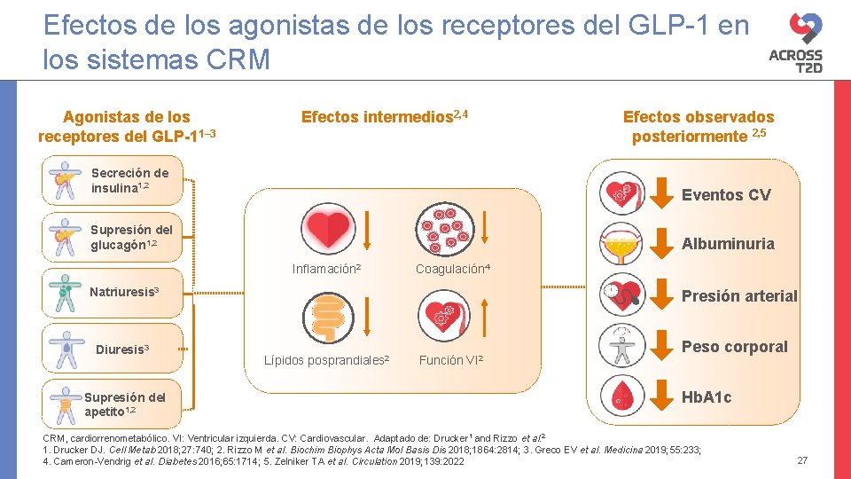 Efectos de los agonistas de los receptores del GLP-1 en los sistemas CRM Agonistas