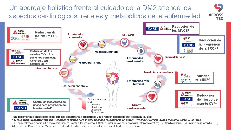 Un abordaje holístico frente al cuidado de la DM 2 atiende los aspectos cardiológicos,