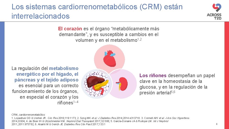Los sistemas cardiorrenometabólicos (CRM) están interrelacionados El corazón es el órgano “metabólicamente más demandante”,