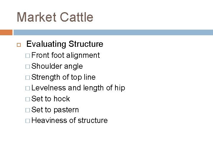 Market Cattle Evaluating Structure � Front foot alignment � Shoulder angle � Strength of