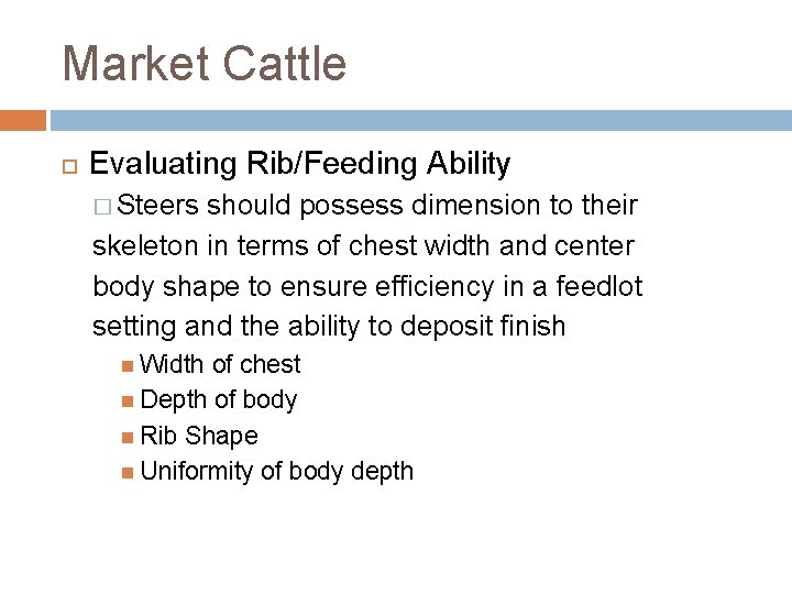 Market Cattle Evaluating Rib/Feeding Ability � Steers should possess dimension to their skeleton in
