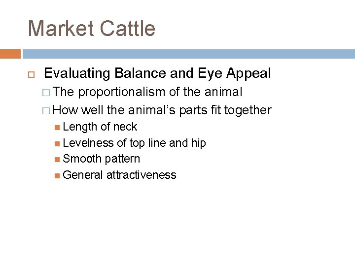 Market Cattle Evaluating Balance and Eye Appeal � The proportionalism of the animal �