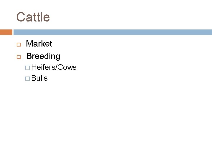 Cattle Market Breeding � Heifers/Cows � Bulls 
