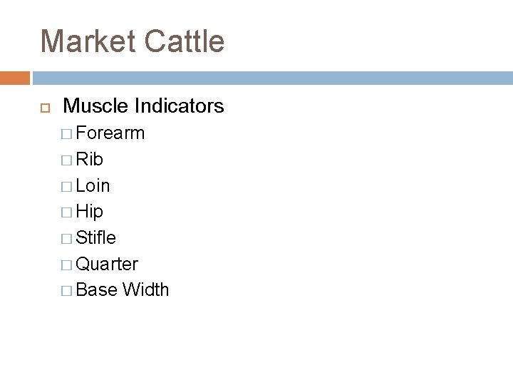 Market Cattle Muscle Indicators � Forearm � Rib � Loin � Hip � Stifle