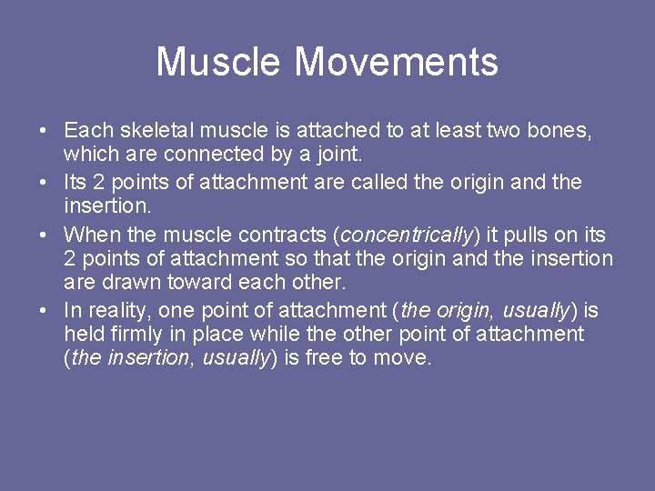 Muscle Movements • Each skeletal muscle is attached to at least two bones, which