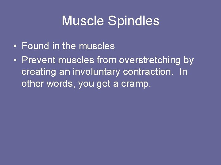 Muscle Spindles • Found in the muscles • Prevent muscles from overstretching by creating