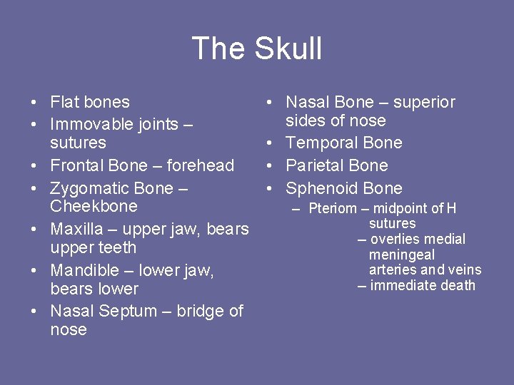 The Skull • Flat bones • Immovable joints – sutures • Frontal Bone –