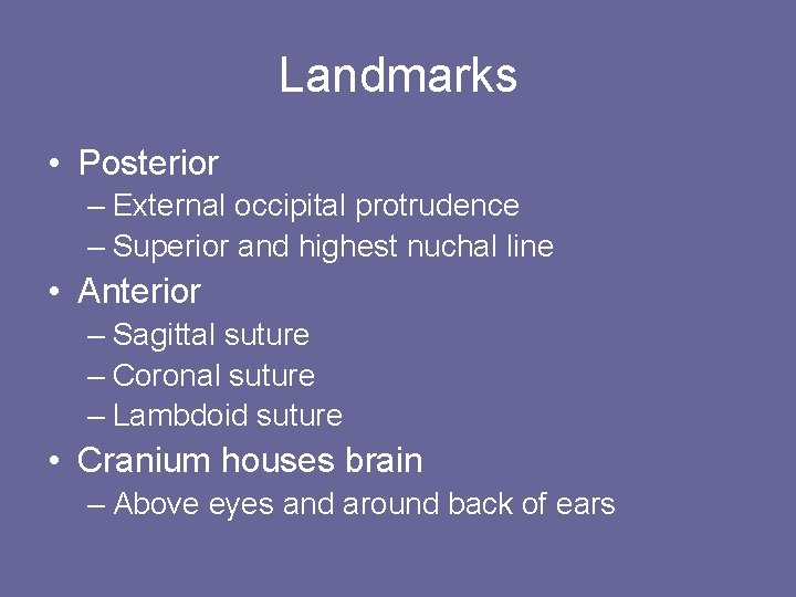Landmarks • Posterior – External occipital protrudence – Superior and highest nuchal line •