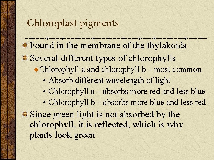 Chloroplast pigments Found in the membrane of the thylakoids Several different types of chlorophylls