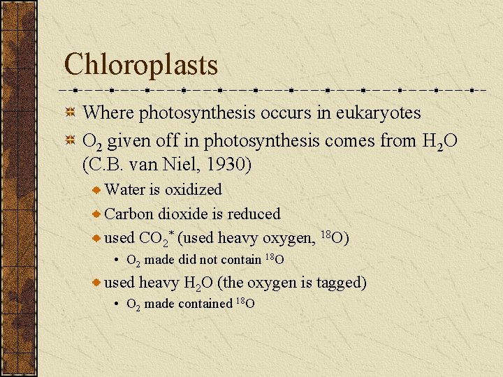 Chloroplasts Where photosynthesis occurs in eukaryotes O 2 given off in photosynthesis comes from
