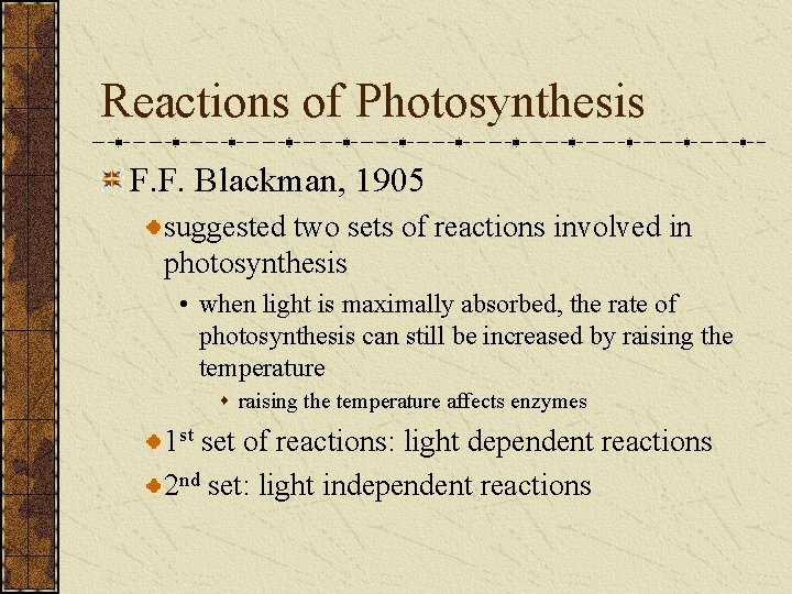 Reactions of Photosynthesis F. F. Blackman, 1905 suggested two sets of reactions involved in