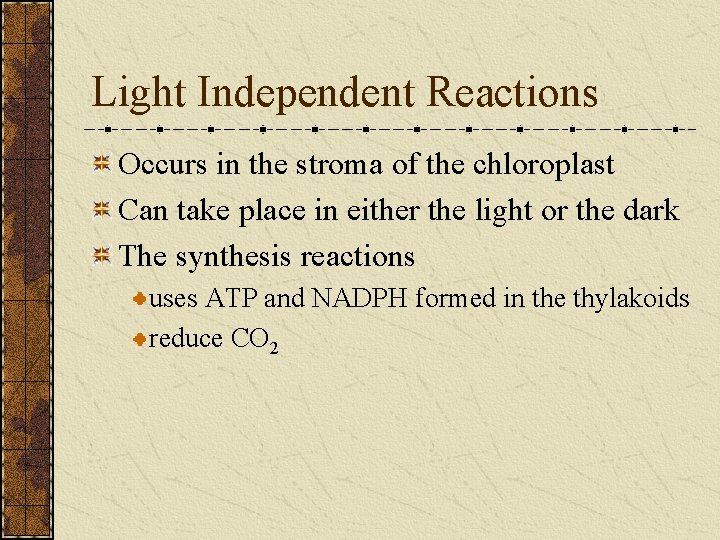 Light Independent Reactions Occurs in the stroma of the chloroplast Can take place in