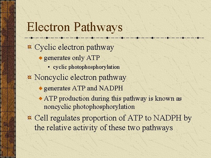Electron Pathways Cyclic electron pathway generates only ATP • cyclic photophosphorylation Noncyclic electron pathway