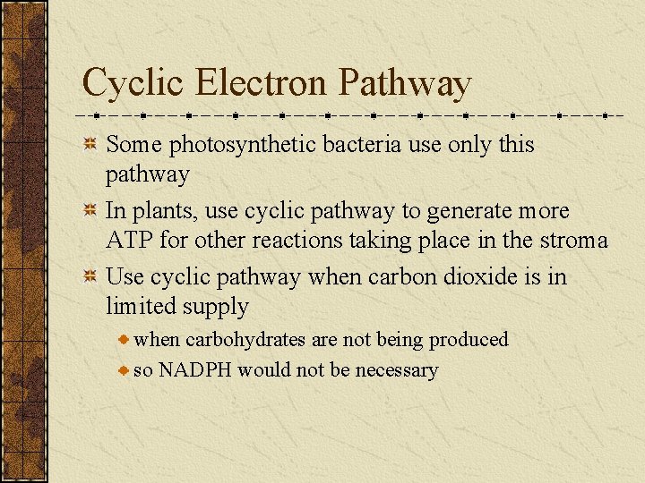 Cyclic Electron Pathway Some photosynthetic bacteria use only this pathway In plants, use cyclic