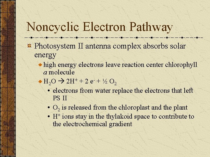 Noncyclic Electron Pathway Photosystem II antenna complex absorbs solar energy high energy electrons leave