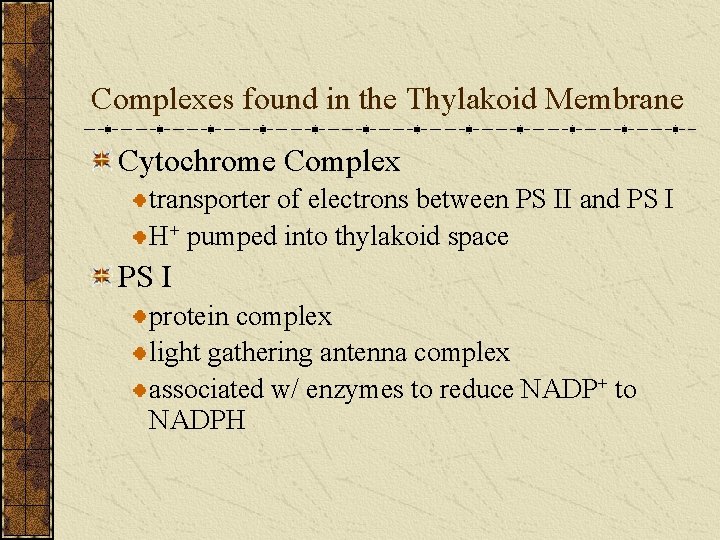 Complexes found in the Thylakoid Membrane Cytochrome Complex transporter of electrons between PS II