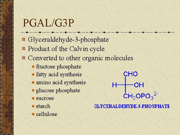 PGAL/G 3 P Glyceraldehyde-3 -phosphate Product of the Calvin cycle Converted to other organic