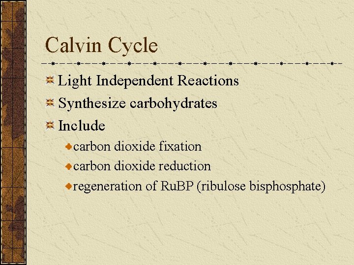 Calvin Cycle Light Independent Reactions Synthesize carbohydrates Include carbon dioxide fixation carbon dioxide reduction