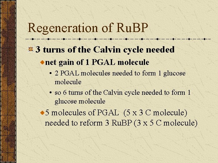 Regeneration of Ru. BP 3 turns of the Calvin cycle needed net gain of
